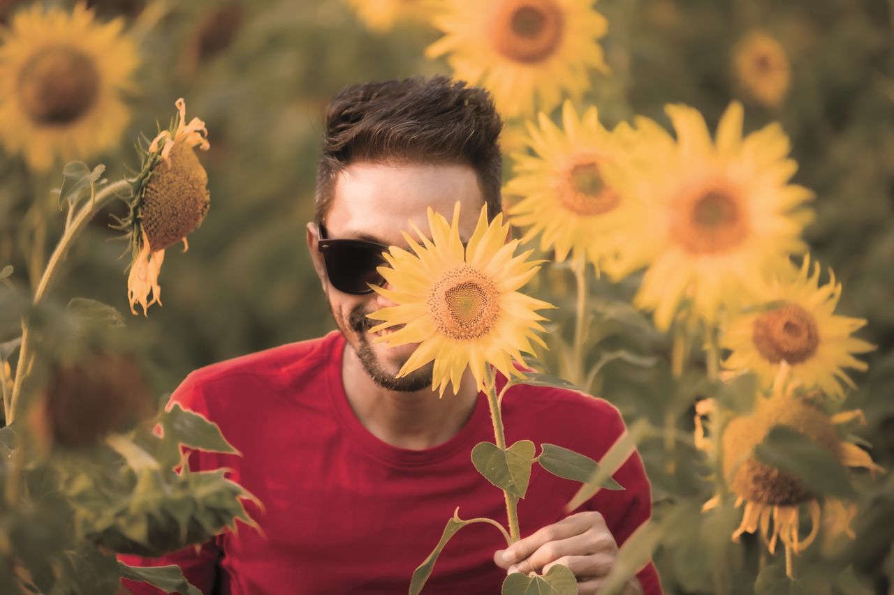 pexels-photo-34459545-34459545 A stylish man in sunglasses holding a sunflower in a vibrant field.